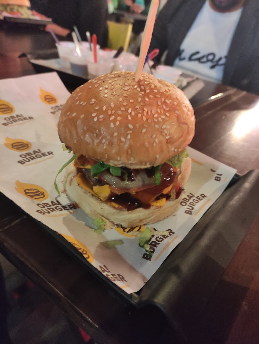 Oba Burger Vitoria Da Conquista-10